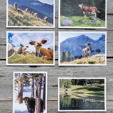 Postkartenset Kuhedition 14