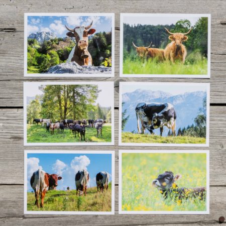 Postkartenset Kuhedition 15